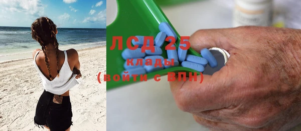 эйфоретик Аркадак