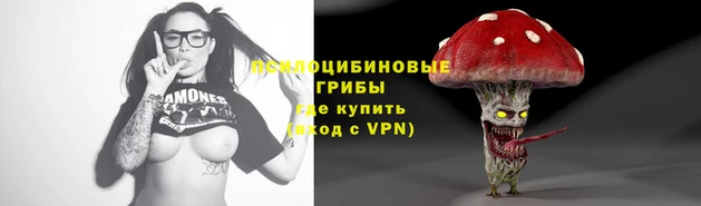 прущая мука Арсеньев