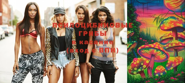 эйфоретик Аркадак