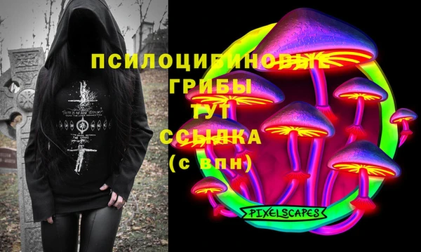 прущая мука Арсеньев