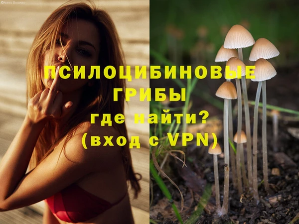 эйфоретик Аркадак