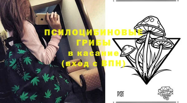 стаф Армянск