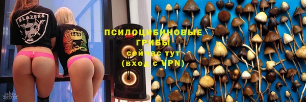 эйфоретик Аркадак