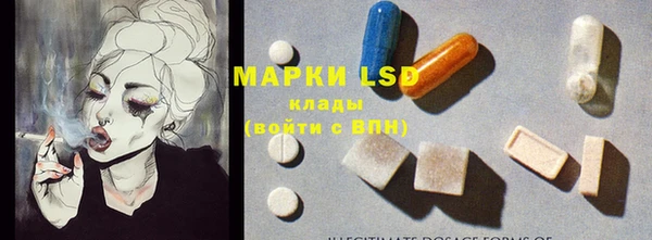 эйфоретик Аркадак