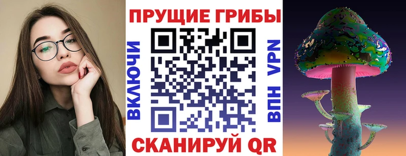 Псилоцибиновые грибы Magic Shrooms  Купить где  Жирновск 