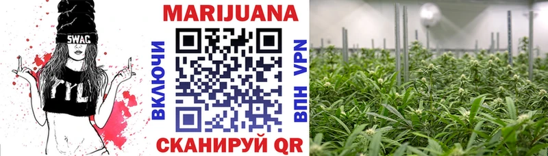 Купить где  Жирновск  Бошки марихуана OG Kush 